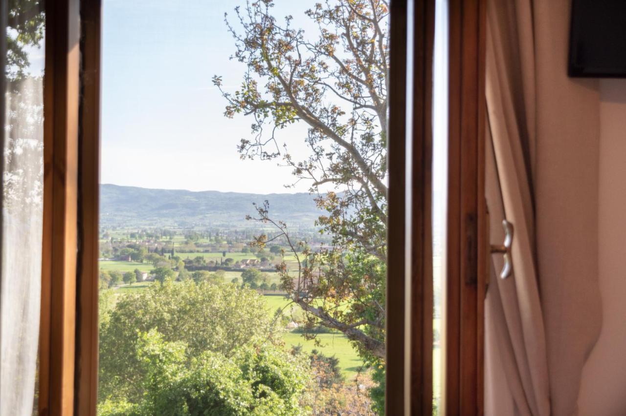 B&B Cantico Delle Creature Assisi Bagian luar foto