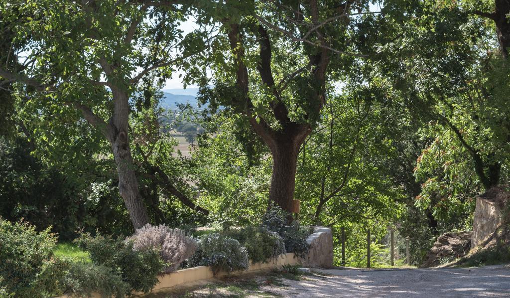 B&B Cantico Delle Creature Assisi Bagian luar foto