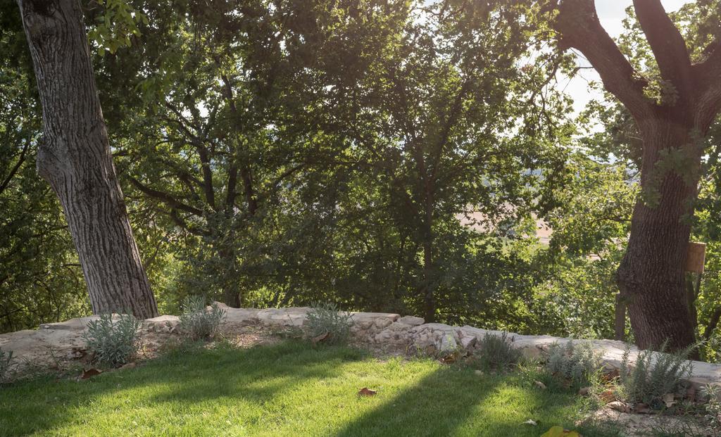 B&B Cantico Delle Creature Assisi Bagian luar foto