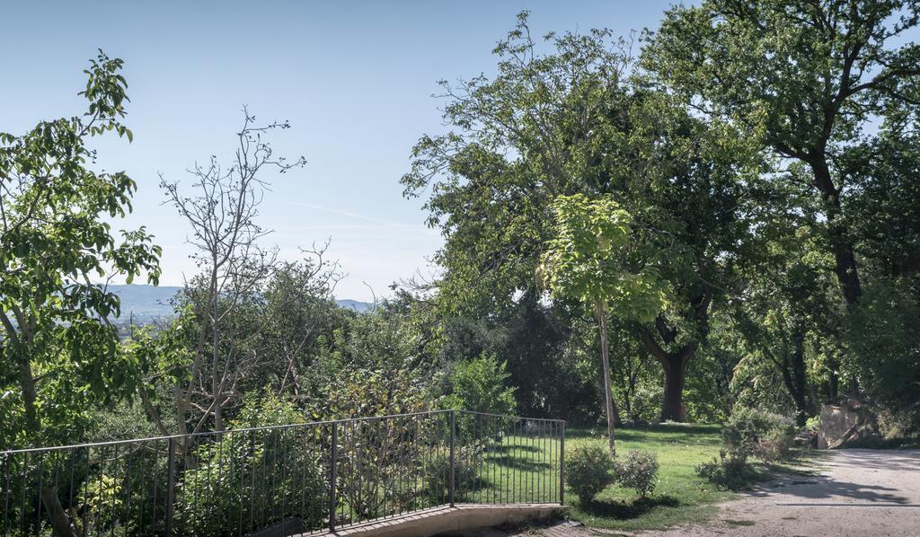 B&B Cantico Delle Creature Assisi Bagian luar foto