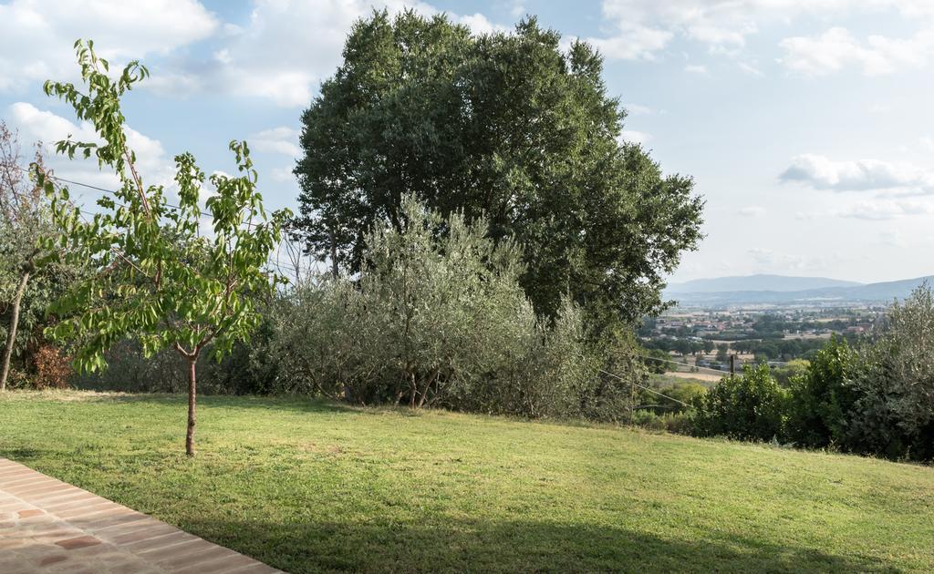 B&B Cantico Delle Creature Assisi Bagian luar foto